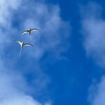 Photo taken by Maggie K