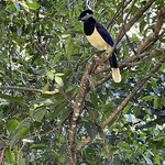 Photo taken by Graciela P