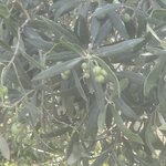 Photo taken by Debra D