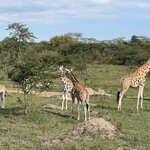 Photo taken by Michael L