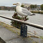 Photo taken by Deborah F