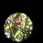 Photo taken by Natasha J