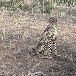 Photo taken by rhonda c