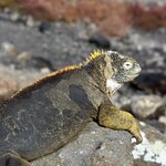 Photo taken by Joseph P