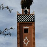 Photo taken by Rajarshi M