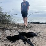 Photo taken by Thomas R