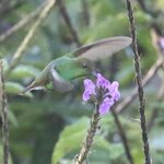 Photo taken by Joyce C