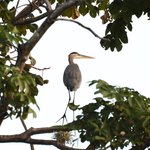 Photo taken by Graeme W