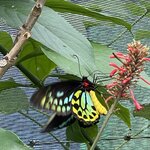 Photo taken by Kelsey D