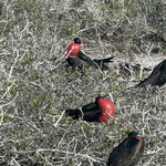 Photo taken by Mark A