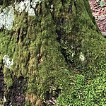 Photo taken by Jacci Z