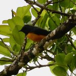 Photo taken by Joyce C