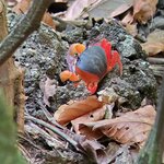 Photo taken by Garritt V