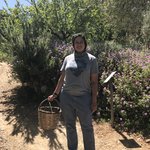 Photo taken by Victoria P