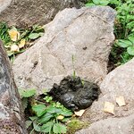 Photo taken by NICOLE L