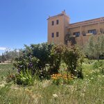 Photo taken by SARMA M