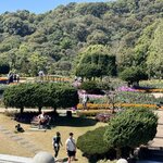 Photo taken by Bailey W