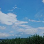 Photo taken by Caroline K