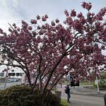 Photo taken by Jennifer D