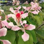 Photo taken by Brett F