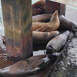 Photo taken by Vinay K