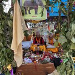 Photo taken by Kathy O