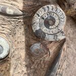 Photo taken by Raelene S