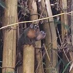 Photo taken by Karen P