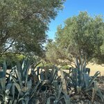 Photo taken by Della O