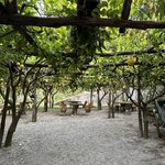 Photo taken by Derek L