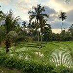 Photo taken by wendi r