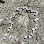 Photo taken by Martin S