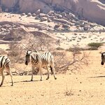 Photo taken by Michael G