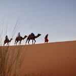 Photo taken by Margi S