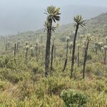 Photo taken by Amy F