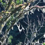 Photo taken by Graeme W