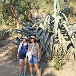 Photo taken by Samir K