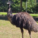 Photo taken by Maggie W