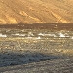 Photo taken by Cyd T