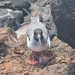 Photo taken by Thomas L