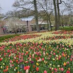 Photo taken by David S