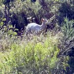 Photo taken by Debra F