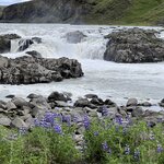 Photo taken by Cara W