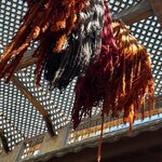 Photo taken by Patty N