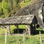 Photo taken by Sharon S