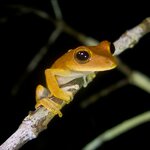 Photo taken by Sabine V