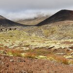 Photo taken by Tim Z