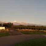 Photo taken by Sandra R