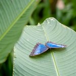 Photo taken by Jeffrey B