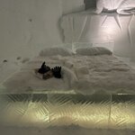 Photo taken by Tracy K